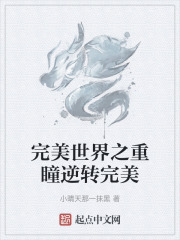 完美世界之重瞳逆转完美