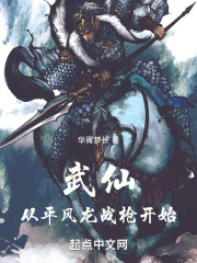 武仙，从平风龙战枪开始