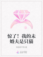 惊了！我的未婚夫是只猫