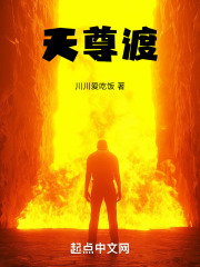 天尊渡劫下凡下载