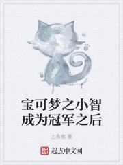 宝可梦之小智成为冠军之后