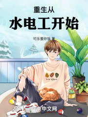 重生从水电工开始