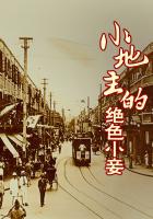 小地主的绝色小妾