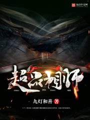 超品相师简介