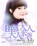 boss大人,夫人来袭 类