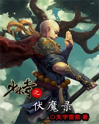 少林伏魔录