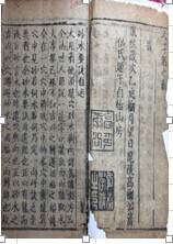 蛮荒帝王