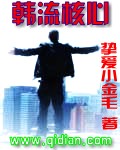韩流核心