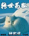 转世为狐