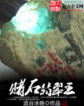 赌石翡翠王