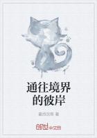 通往境界的彼岸