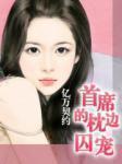 亿万契约：首席的枕边囚宠