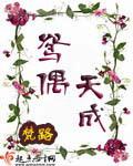 鸳偶天成xiazai