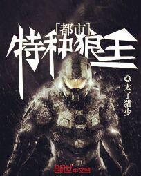 都市特种狼王TXT八零下载