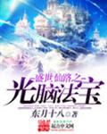 盛世仙路之光脑法宝
