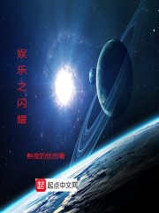 娱乐之闪耀巨星txt