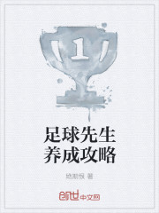 足球先生养成攻略