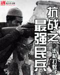 抗战之最强民兵txt下载