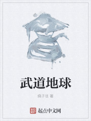武道地球