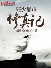 狂少都市修真记