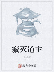 寂灭道主最新章节