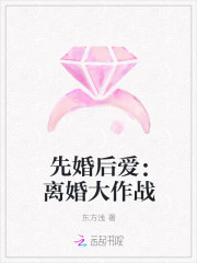 先婚后爱：离婚大作战