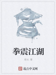 拳震江湖