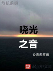 危机前奏——晓光之音