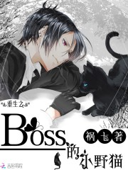 重生之boss的小野猫