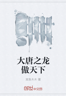 大唐之龙傲天下 第28章